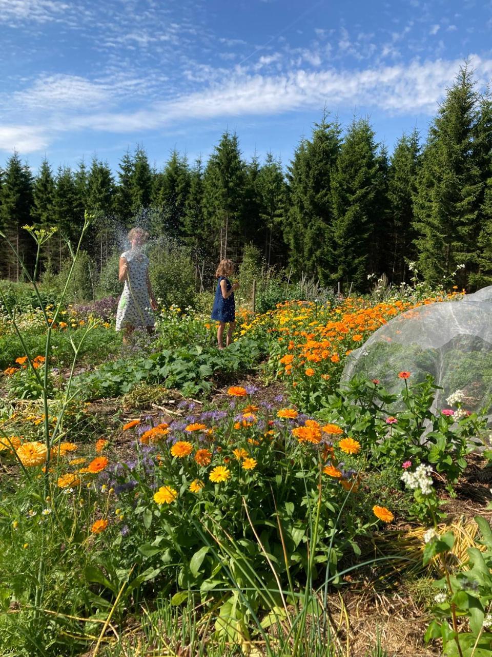 Simlångsdalen Escape To Paulssonpaleo Bed & Breakfast エクステリア 写真