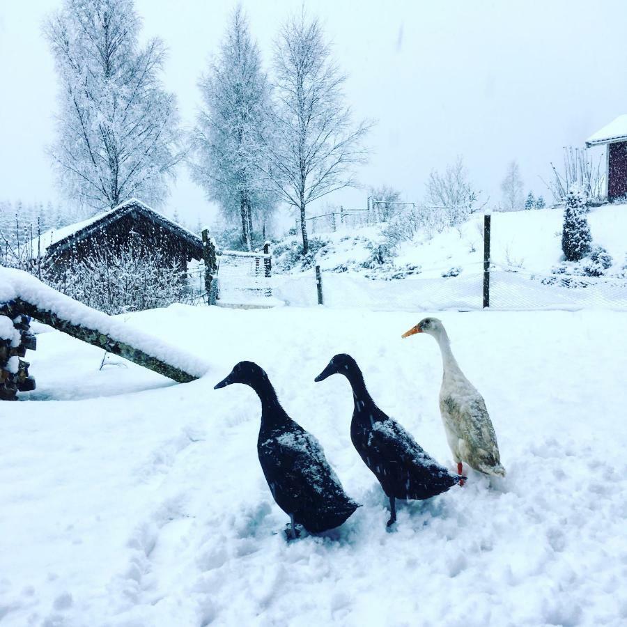 Simlångsdalen Escape To Paulssonpaleo Bed & Breakfast エクステリア 写真